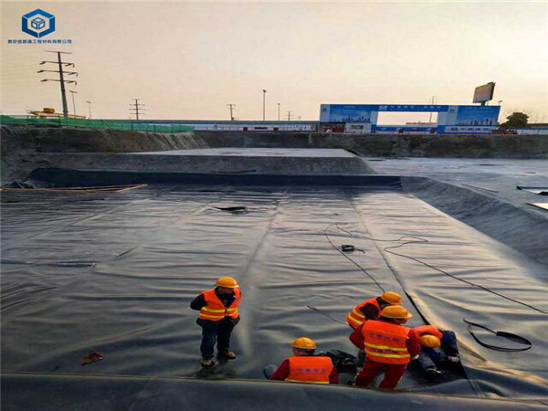 ���ĳ�����